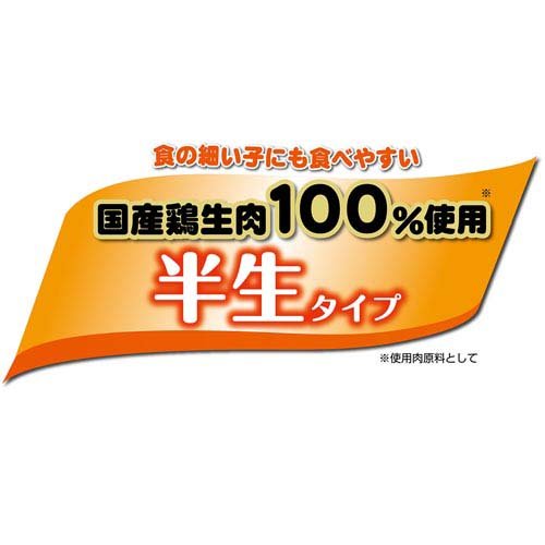 サンプル画像3