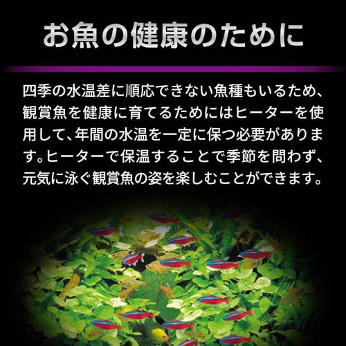 �����ȥҡ�����������ǥ�SH160(5���å�)