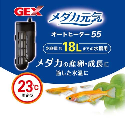 ��������� �����ȥҡ����� SH55(5���å�)�ڥ����������
