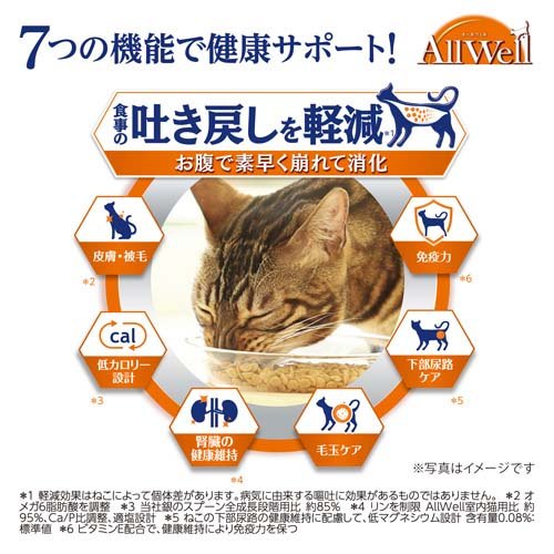 オールウェル(AllWell) キャットフード 10歳以上用 フィッシュ味(4kg(500g×8袋))【nitem_2107】【オールウェル(AllWell)】[吐き戻し軽減 国産] (2)