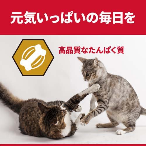 サイエンスダイエット プロ 猫用 健康ガード 活力 1〜6歳(3kg*4袋セット)【hls】【サイエンスダイエット】[キャットフード]