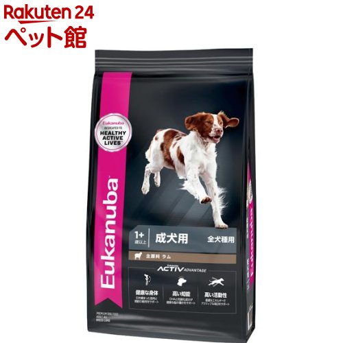 [Jko A_g CX p Sp 1Έȏ(2.7kg)yeuk_contestzy[Jko(Eukanuba)z