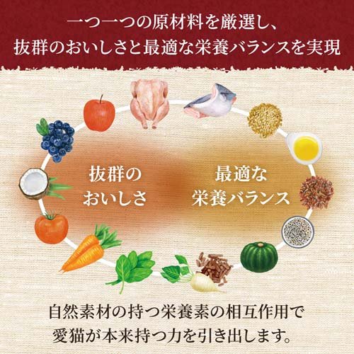 サンプル画像3