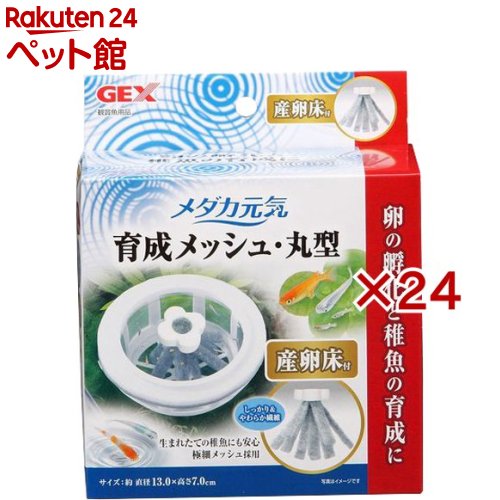 ��������� ������å��塦�ݷ� ������(24���å�)�ڥ����������