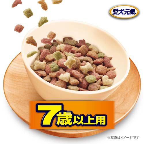 サンプル画像3