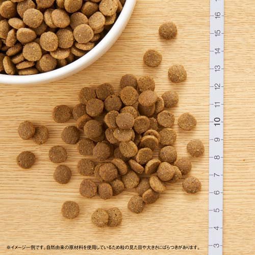 サンプル画像2