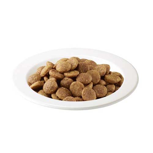 アイムス 11歳以上用 毎日の健康サポート チキン ドライフード シニア(1.5kg*6コセット)【d_iams】【d_iamscat】【dalc_iams】【アイムス】[キャットフード] nyanzaq-10110340 楽天24 ペット館 サンプル画像2