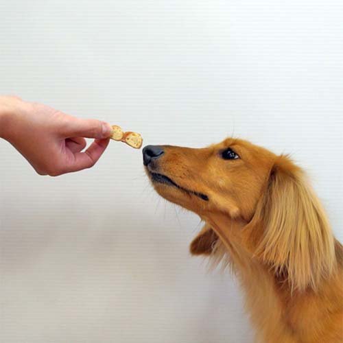 ���ۤ��ӥ��쥯�� �����ߤ��餫���(110g*6�ޥ��å�)�ڥɥ����ޥ�(Doggy Man)��