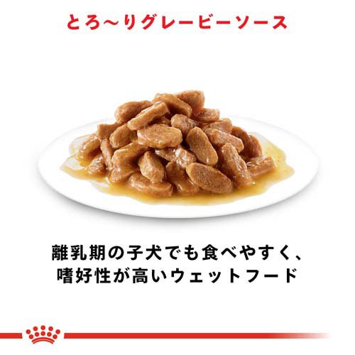 ロイヤルカナン サイズ ヘルス ニュートリション ウェット ミニ パピー(85g*24袋セット)【2003_rcmail】【ロイヤルカナン(ROYAL CANIN)】 nyanzaq-10144752 楽天24 ペット館 サンプル画像3