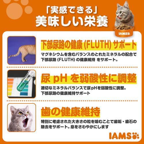 サンプル画像3