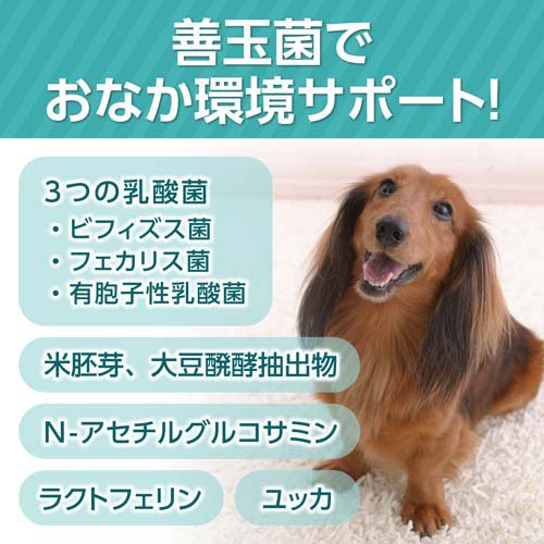 DHC 犬用 おなか健康(DHCペット)(60粒×6セット)【DHC ペット】
