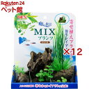 癒し水景 MIXプランツ ロック 茶(12セット)【癒し水景】