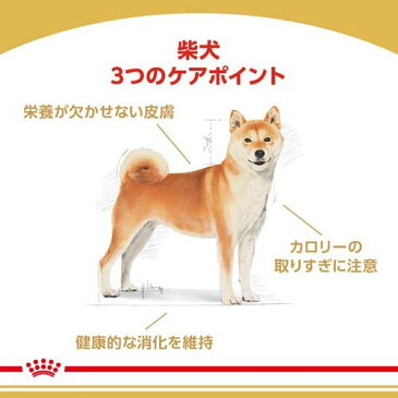 ロイヤルカナン ブリードヘルスニュートリション 柴犬 成犬用(3kg)【ロイヤルカナン(ROYAL CANIN)】[ドッグフード][爽快ペットストア]