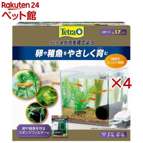 お店TOP＞アクアリウム用品＞水槽＞テトラ メダカを育てよう (4セット)【テトラ メダカを育てようの商品詳細】●どんな場所にも設置できるコンパクトサイズ●卵や稚魚を吸い込まないエアリフト方式のスポンジフィルター採用【セット詳細】水槽、フタ、フィルター【規格概要】・材質：プラスチック、他【ブランド】Tetra(テトラ)【発売元、製造元、輸入元又は販売元】スペクトラム ブランズ ジャパン※説明文は単品の内容です。リニューアルに伴い、パッケージ・内容等予告なく変更する場合がございます。予めご了承ください。・単品JAN：4571269552518スペクトラム ブランズ ジャパン220-0004　神奈川県横浜市西区北幸2-6-26 HI横浜ビル3階045-322-4330広告文責：楽天グループ株式会社電話：050-5306-1825[アクアリウム用品/ブランド：Tetra(テトラ)/]