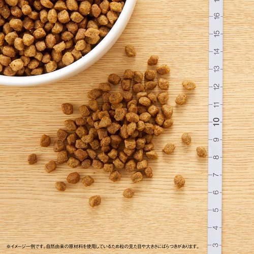 ニュートロ ナチュラルチョイス 超小型4kg以下 成犬8ヶ月 チキン玄米 ドッグフード(800g*12コセット)【ナチュラルチョイス(NATURAL CHOICE)】[ドッグフード] nyanzaq-10110418 楽天24 ペット館 サンプル画像2
