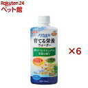 メダカ元気 育てる栄養ウォーター(300ml×6セット)【メダカ元気】