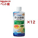 メダカ元気 育てる栄養ウォーター(300ml×12セット)【メダカ元気】