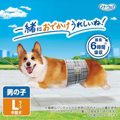マナーウェア 男の子用 L トラッドテイスト 犬用 おむつ ユニチャーム(40枚入*4袋)【d_ucd】【マナーウエア】 nyanzaq-10118594 楽天24 ペット館 サンプル画像2