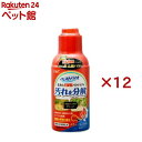 ベストバイオ(250ml×12セット)