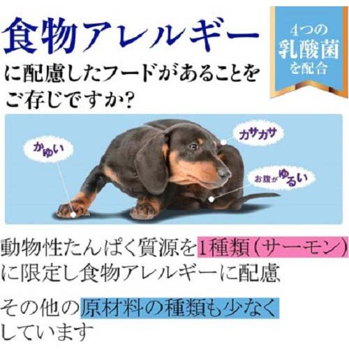 ウェルネス シンプル 小型犬用 成犬用 1歳以上用 サーモン＆じゃがいも(800g×2セット)【ウェルネス】 2