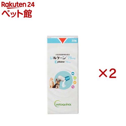 ジルケーン 75mg(30粒入×2セット)