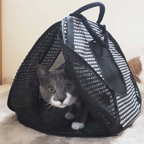猫壱 ポータブルライトキャリー(1個)【猫壱】