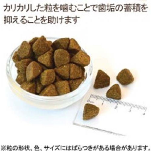ウェルネス コア 成犬用 オーシャンフィッシュ(800g×4セット)【ウェルネス】