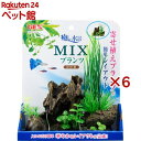 癒し水景 MIXプランツ ロック 茶(6セット)【癒し水景】