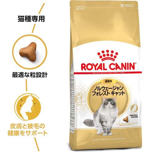 サンプル画像2