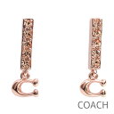 無料母の日ラッピング！ コーチ COACH ピアス レディース イヤリング アクセサリー ジュエリー シグネチャー 【送料無料（ネコポス メール便）】 ブランド コーチ正規品販売店 直営アウトレット店より直輸入 【あす楽】