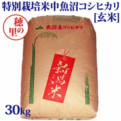 令和7年産新米☆特別