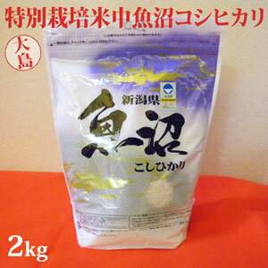 令和5年産新米☆特別