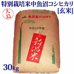 令和5年産新米☆特別