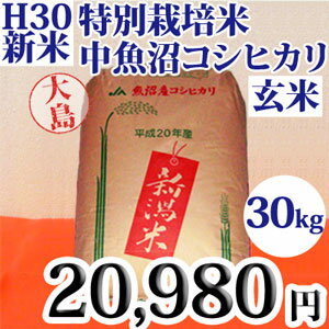 【生産農家産地直送／5000円以上で送料無料】☆新米／幻の中魚沼産コシヒカリ☆特別栽培米中魚沼コシヒカリをお届けいたします。☆平成23年度新米☆特別栽培米中魚沼産コシヒカリ30kg（大島さん）[玄米]【送料無料】【gourmet0201】【10P03Feb12】