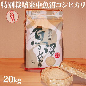 Rakuten - 令和7年産新米☆ベストファーマー認定☆特別栽培米中魚沼産コシヒカリ20kg(富井さん)