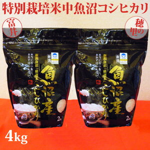 令和7年産新米☆極上