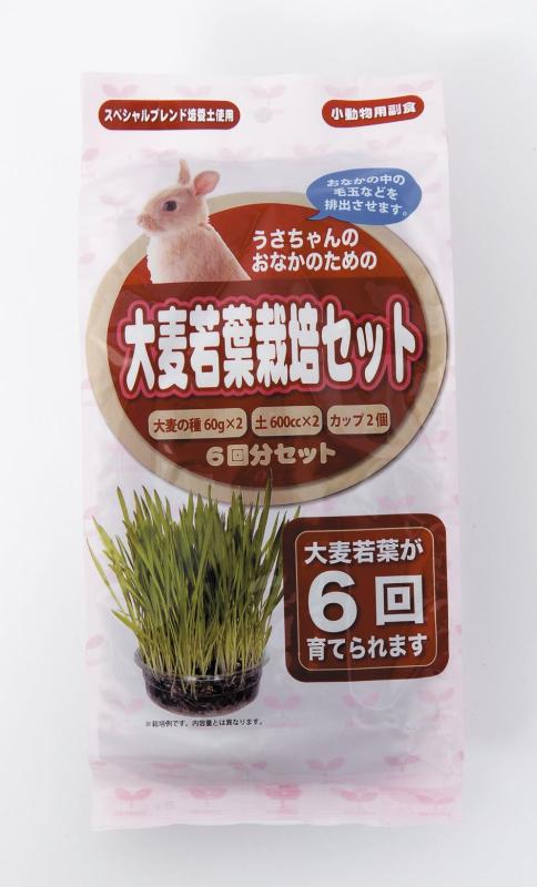 饿 պݥå6ʬ