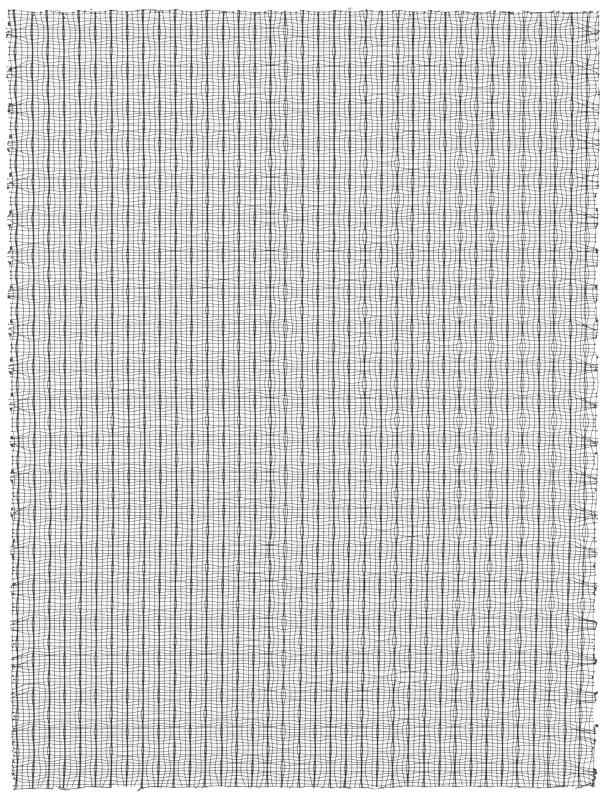 【純正品】 ダイニチ (Dainichi) 加湿器 フィルター 交換用 除菌フィルター H060319