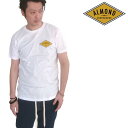 【送料無料】【セール】 アーモンドサーフボードデザイン Tシャツ Almond Surfboards アーモンド サーフ スタイル メンズ カジュアル ファッション サファリ オーシャンズ ブランド