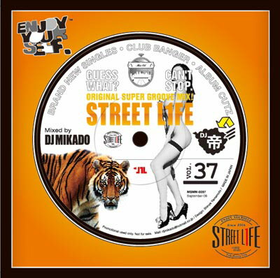  DJミカド STREET L1FE Vol.37 DJ Mikado MIXCD DJ帝 ストリートライフ CD 全37曲 Street L1fe クラブ ミュージック HIPHOP CLUB 洋楽 音楽 ヒップホップ MUSIC ミックスCD ミックス 好きに♪