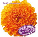 yZ[z DJUE / Monthly Whizz VOL.88 MIXCD DJ UE CD S33 DJEG Nu ~[WbN HIPHOP R&B CLUB MIX my y qbvzbv MUSIC ~bNXCD ~bNX DɁ