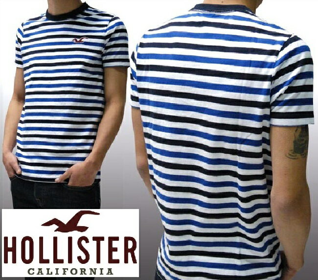 【送料無料】【セール】 ホリスター メンズ Tシャツ HOLLISTER インポート ブランド ファッション カジュアル Safari サファリ 雑誌 掲載 アメカジ サーフ スタイル 正規 商品