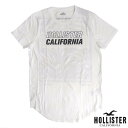 【送料無料】【セール】 ホリスター メンズ Tシャツ HOLLISTER インポート ブランド ファッション カジュアル Safari サファリ 雑誌 掲載 アメカジ サーフ スタイル 正規 商品