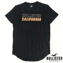 【送料無料】【セール】【200種類の品揃え】 ホリスター メンズ Tシャツ CALIFORNIA ブラック HOLLISTER インポート ブランド ファッション カジュアル Safari サファリ LEON オーシャンズ 雑誌 掲載 アメカジ セレカジ ストリート ウェア サーフ スタイル 正規 商品 138