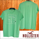 【送料無料】【セール】 ホリスター メンズ Tシャツ HOLLISTER インポート ブランド ファッション カジュアル Safari サファリ 雑誌 掲載 アメカジ サーフ スタイル 正規 商品