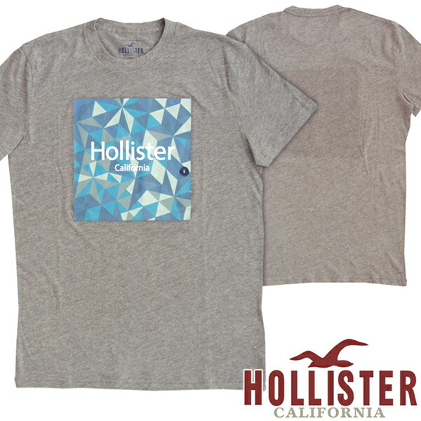 【送料無料】【セール】 ホリスター メンズ Tシャツ HOLLISTER インポート ブランド ファッション カジュアル Safari サファリ 雑誌 掲載 アメカジ サーフ スタイル 正規 商品