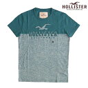 【送料無料】【セール】 ホリスター メンズ Tシャツ HOLLISTER インポート ブランド ファッション カジュアル Safari サファリ 雑誌 掲載 アメカジ サーフ スタイル 正規 商品
