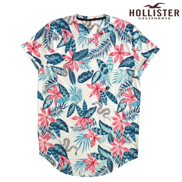 【送料無料】【セール】 ホリスター メンズ Tシャツ HOLLISTER インポート ブランド ファッション カジュアル Safari サファリ 雑誌 掲載 アメカジ サーフ スタイル 正規 商品