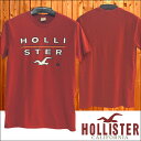 【送料無料】【セール】 ホリスター メンズ Tシャツ HOLLISTER インポート ブランド ファッション カジュアル Safari サファリ 雑誌 掲載 アメカジ サーフ スタイル 正規 商品