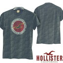 【送料無料】【セール】 ホリスター メンズ Tシャツ HOLLISTER インポート ブランド ファッション カジュアル Safari サファリ 雑誌 掲載 アメカジ サーフ スタイル 正規 商品